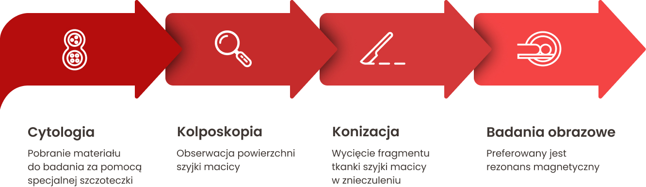 Podstawowe badania diagnostyczne w raku szyjki macicy: cytologia, kolposkopia, konizacja i badania obrazowe