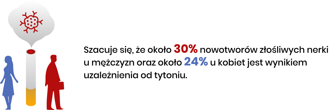 szacuje się, że około 30% nowowtworów złośliwych nerki u mężczyzn i 24% u kobiet jest wynikiem uzależnienia od tytoniu