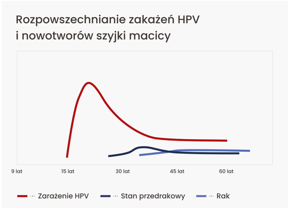 Szczyt zakażeń HPV przypada pomiędzy 15 a 35 r.ż. Zmian przedrakowych jest mniej i występują w wieku 30–40 lat, z czego część przekształci się w raka, który diagnozowany jest przede wszystkim po 45 r.ż.