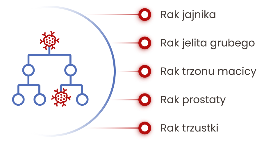 Wśród innych nowotworów występujących w rodzinach z dziedzicznym rakiem piersi należy wskazać raka jajnika, jelita grubego, trzonu macicy, prostaty oraz trzustki.