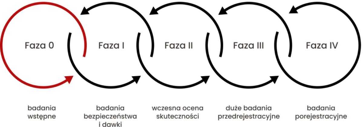 Fazy badania klinicznego: 0 – badania wstępne, I – badania bezpieczeństwa i dawki, II –wczesna ocena skuteczności, III – duże badanie przedrejestracyjne, IV – badania porejestracyjne